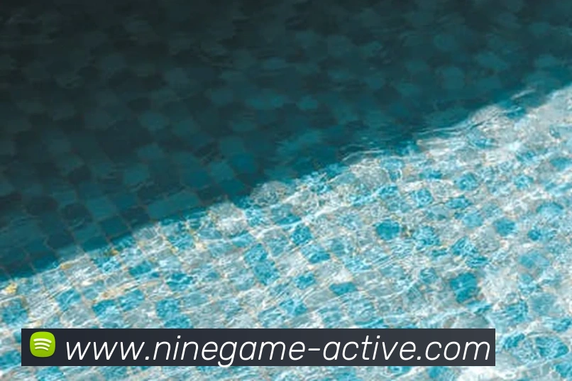 多媒体互动体验